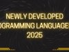 Newly Developed Programming Languages in 2025