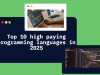 Top 10 High Paying Programming Languages in 2025